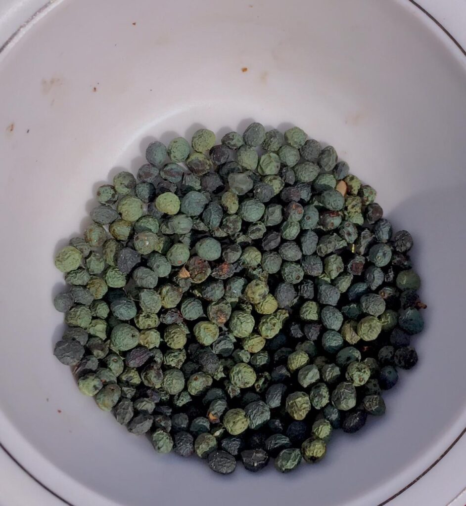 Deied fruits